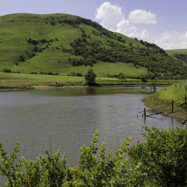 -1-TC-Drakensbergkloof-Cornelia-Appel- -1-TC-Drakensbergkloof-Cornelia-Appel-