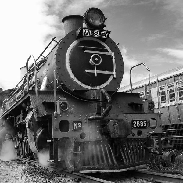 -4-TC-Retro steam train-Tracey-Rhodes- -4-TC-Retro steam train-Tracey-Rhodes-