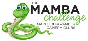 mamba logo mamba logo