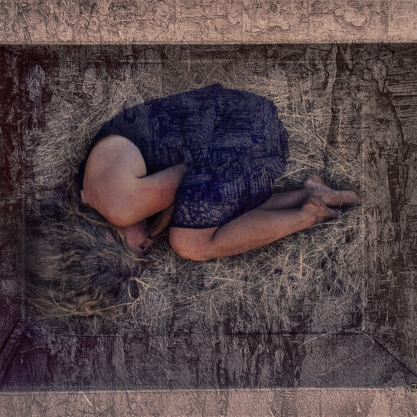 2nd Inside our Boxes-Cornelia-Appel- 2nd Inside our Boxes-<BR>Cornelia-Appel-</BR>