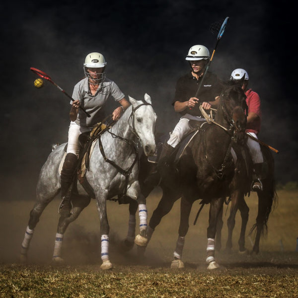 3rd Polocrosse in the dust-Des-van Tonder- 3rd Polocrosse in the<BR> dust-Des-van Tonder-</BR>